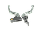 Leve CNC per Triumph Speed a tre cilindri (2011)