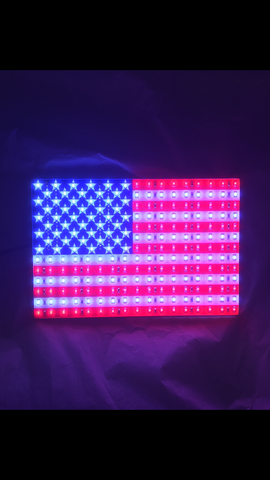 Bandeira Americana LED