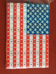 American Flag LED